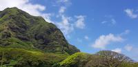 Oahu Rundfahrt - Kuala Ranch