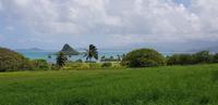Oahu Rundfahrt - Kuala Ranch