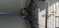 Oculus Center 