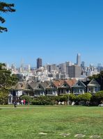 Painted Ladys  - Alamo Square