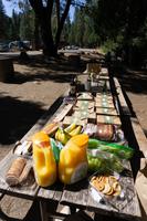Picknick Yosemite Nationalpark