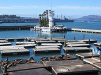Pier 39