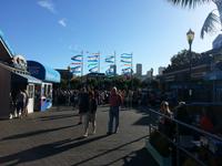 Pier 39