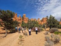 Red Canyon