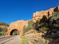 Red Canyon