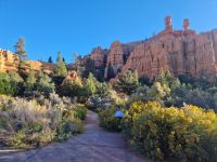 Red Canyon