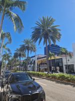 Rodeo Drive