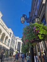 Rodeo Drive