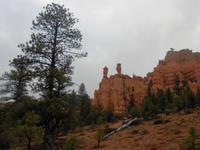 Salz- und Pfefferstreuer, Red Canyon