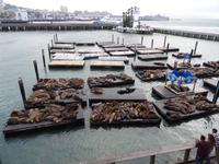 San Francisco - Pier 39