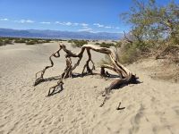 Sanddünen der Mesquite Ebene im Death Valley