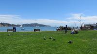 Sausalito