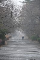 Silvesterreise New York City - Central Park (5)