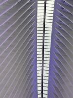 Silvesterreise New York City - Oculus (1)