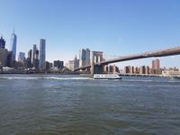 Skyline Manhattans