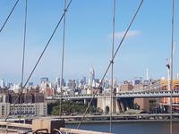 Skyline Manhattans