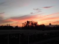 Sonnenaufgang in Long Beach