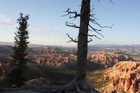 Sonnenuntergang über dem Bryce Canyon