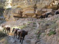 South Kaibab Trail