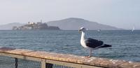 Spaziergang an der Fishermans Wharf in San Francisco