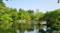 Städtereise New York - Spaziergang im Central Park
