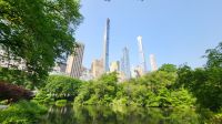 Städtereise New York - Spaziergang im Central Park