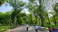 Städtereise New York - Spaziergang im Central Park