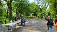 Städtereise New York - Spaziergang im Central Park