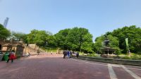 Städtereise New York - Spaziergang im Central Park