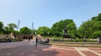 Städtereise New York - Spaziergang im Central Park