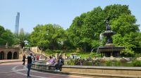 Städtereise New York - Spaziergang im Central Park
