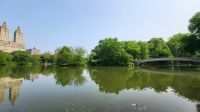 Städtereise New York - Spaziergang im Central Park