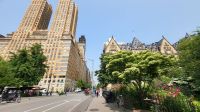 Städtereise New York - Spaziergang im Central Park