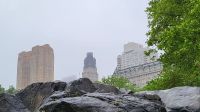 Städtereise New York - Stadtrundfahrt