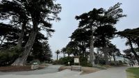 Stadtrundfahrt -  San Francisco