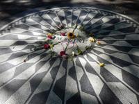 Strawberry Fields 