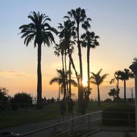 Venice Beach
