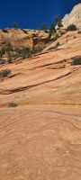 Versteinerte Sanddünen - Zion Nationalpark