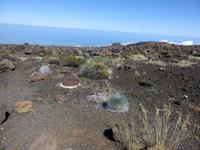 Vulkan Haleakala 