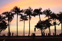 Waikiki Beach