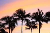 Waikiki Beach