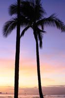 Waikiki Beach