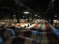 Weingut 