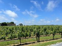 Weingut Lenz
