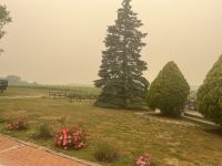 Weingut Paumanok