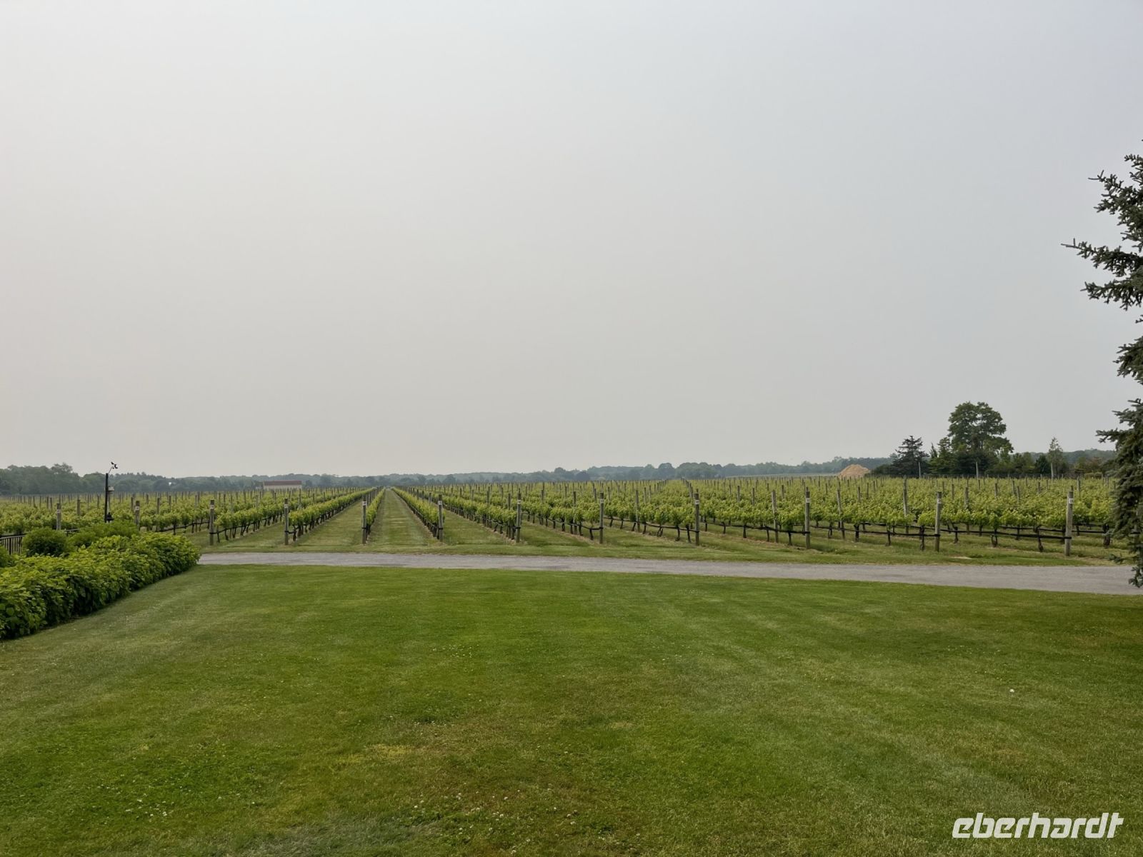 Weingut Raphael
