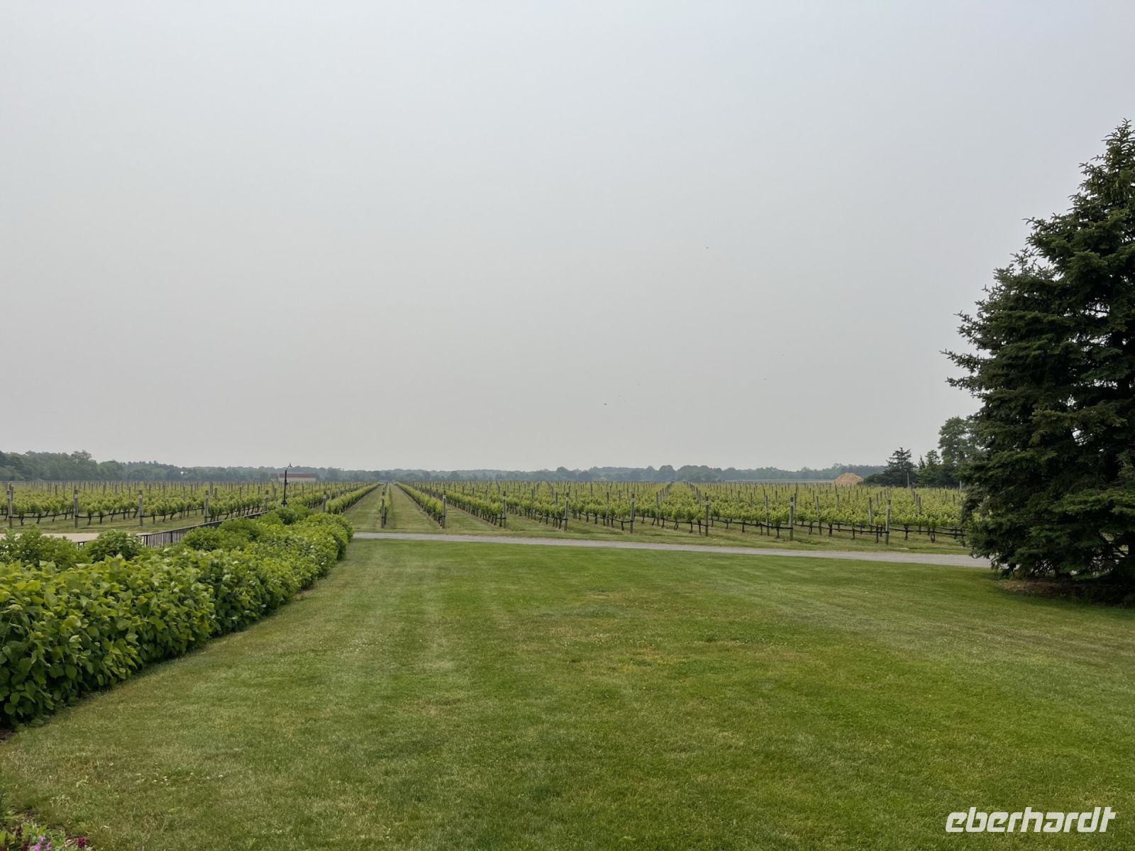 Weingut Raphael