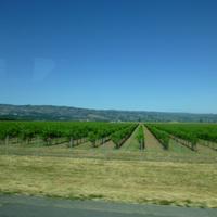 Weinregion Napa