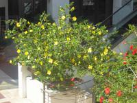 Willkommen im Frühling!