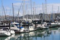 Yachthafen von Sausalitos